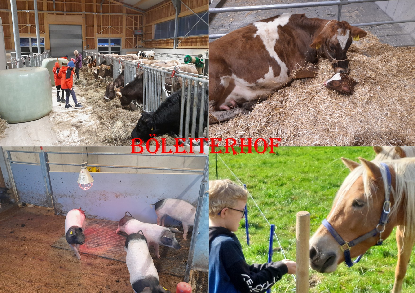 Ferienwohnung Böleiterhof Zell am Ziller - Talstraße 6280 Zell am Ziller - Anbieter Eberharter 